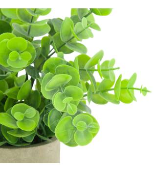 Plant in pot eucalyptus PE 8x8x23cm - Green