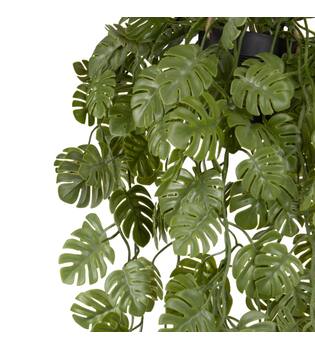 Plant monstera PE with hanger 18x18x80cm - Green