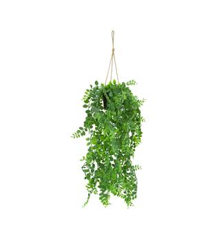 Plant dischidia PE with hanger 18x18x80cm - Green