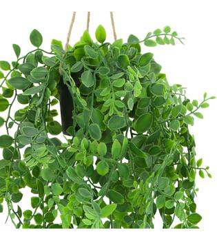 Plant dischidia PE with hanger 18x18x80cm - Green