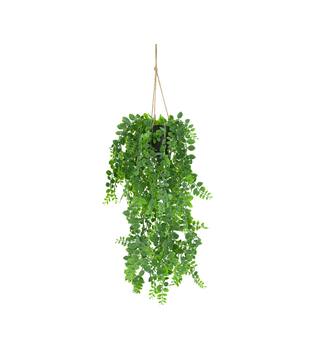 Plant dischidia PE with hanger 18x18x80cm - Green