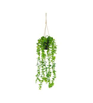 Plant eucalyptus PE with hanger 15x15x70cm - Green