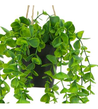 Plant eucalyptus PE with hanger 15x15x70cm - Green