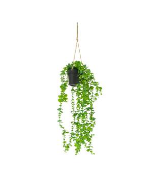 Plant eucalyptus PE with hanger 15x15x70cm - Green