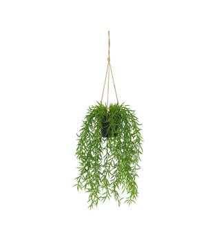 Plant senecio PE with hanger 15x15x60cm - Green