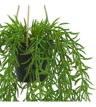 Plant senecio PE with hanger 15x15x60cm - Green