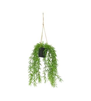 Plant senecio PE with hanger 15x15x60cm