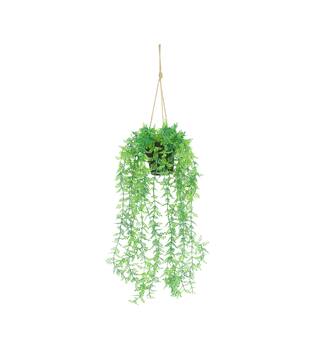Plant adiantum PE with hanger 16x16x72cm