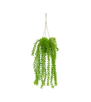 Plant dischidia PE with hanger 16x16x65cm - Green