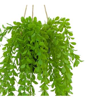 Plant dischidia PE with hanger 16x16x65cm - Green
