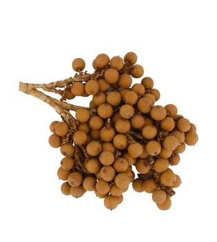 Branch rattan fruit nature 20x20x5cm 500gr
