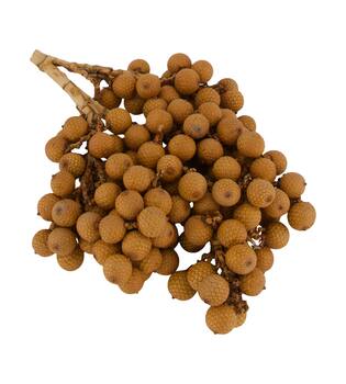 Branch rattan fruit nature 20x20x5cm 500gr