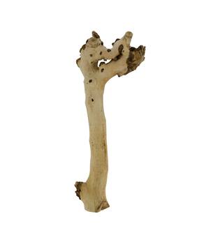 Root driftwood 49x18x6cm