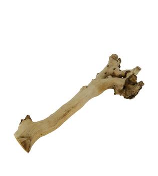 Root driftwood 49x18x6cm