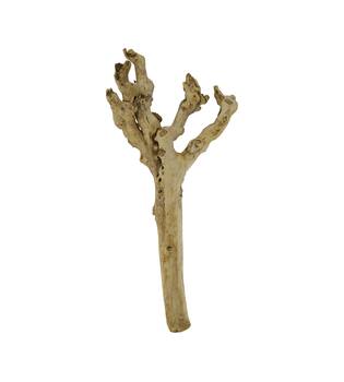 Root driftwood 56.5x18x6cm - Natural