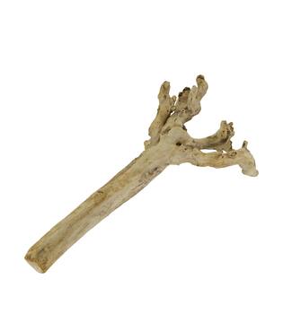 Root driftwood 56.5x18x6cm - Natural