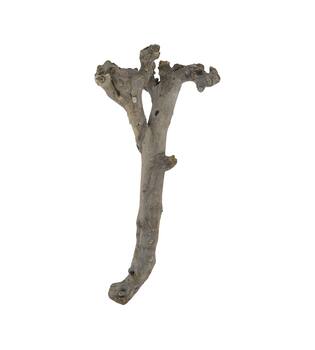 Root driftwood 56.5x18x6cm - White