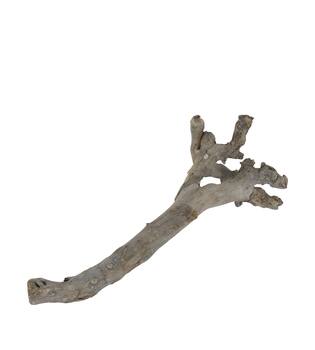 Root driftwood 56.5x18x6cm - White