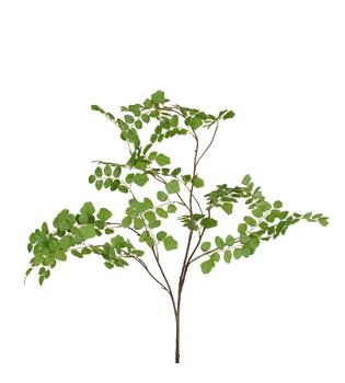 Branch Acacia leaf spray artificial 132x58x20cm