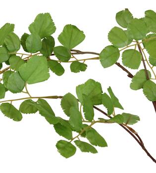 Branch Acacia leaf spray artificial 132x58x20cm