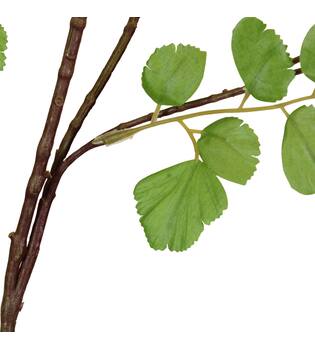 Branch Acacia leaf spray artificial 132x58x20cm