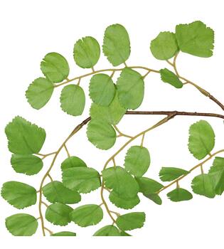 Branch acacia leaf spray artificial 90x32x5cm - Green