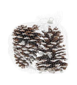 Pinecone nature 14x9x18cm 2pc