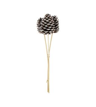 Pinecone nature on stick 14x14x55cm 3pc - Natural