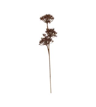Branch heracleum artificial 77x20x10cm
