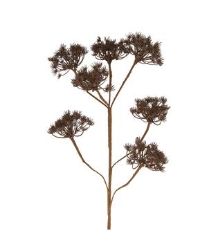 Branch heracleum artificial 115x40x10cm - Brown