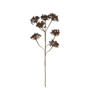 Branch heracleum artificial 115x40x10cm - Brown