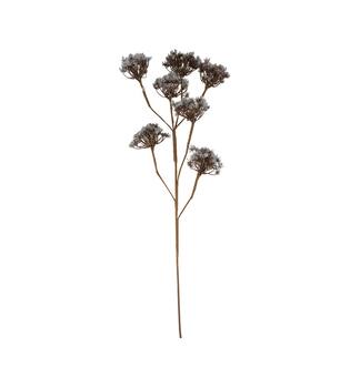Branch heracleum artificial 115x40x10cm - Brown