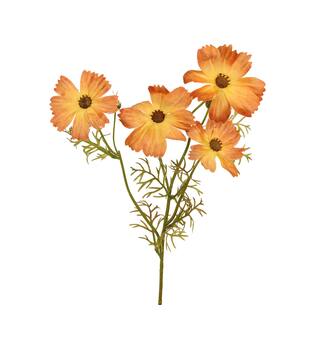 Branch cosmea artificial 20x10x60cm Yellow
