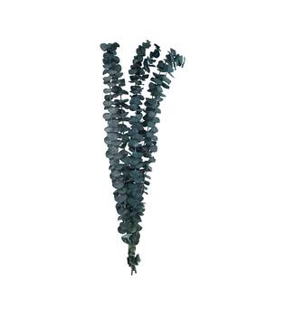Bundle eucalyptus preserved nature 60x10x4cm Dark green