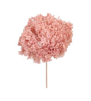 Bunch hydrangea preserved nature 60x20x25cm Pink