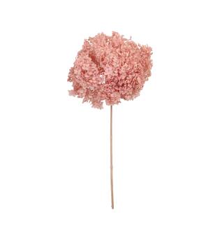Bunch hydrangea preserved nature 60x20x25cm Pink