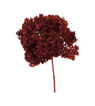 Bunch hydrangea preserved nature 60x20x25cm Red