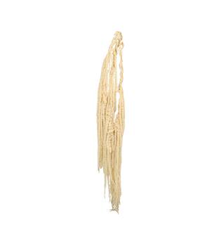 Bunch amaranthus preserved nature 115x11x3cm Bleached