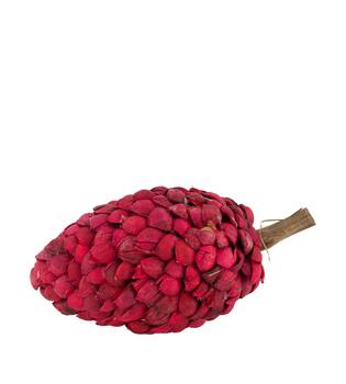 Stick betal pod dino cone nature 14x28cm Red