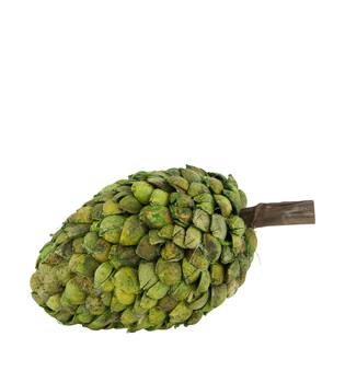 Bâton betal pod dine cone nature 14x28cm vert
