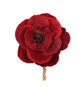 Fleur champignon éponge nature 70x15x15cm rouge