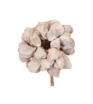 Blume Landlotusblütenblatt Natur 70x15x15cm weiß wash