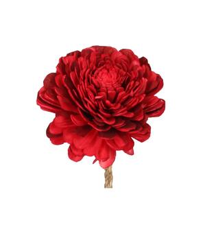 Blume Sola Belli Natur 70x12x12cm rot