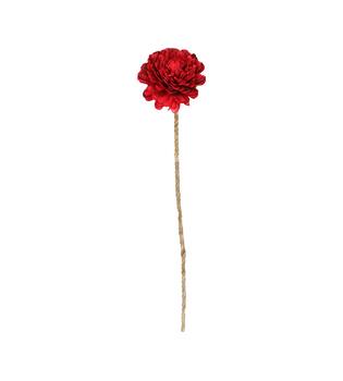 Blume Sola Belli Natur 70x12x12cm rot