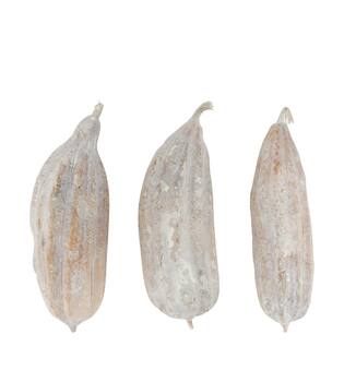 Frucht-Mischung gemalter Jingha Natur 25x20x6cm weiß wash 3stk