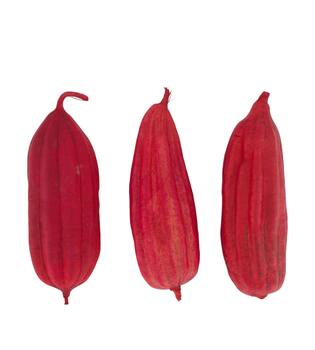 Mélange de fruits jingha peint nature 25x20x6cm rouge 3pc