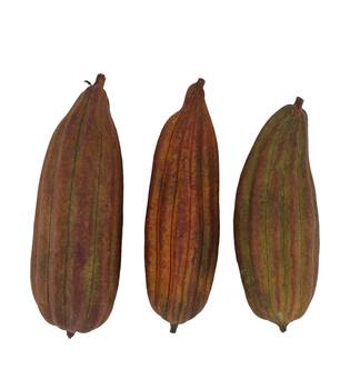 Frucht-Mischung gemalter Jingha Natur 25x20x6cm braun 3stk