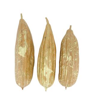 Fruit mix jingha painted nature 25x20x6cm Gold-wash 3pc