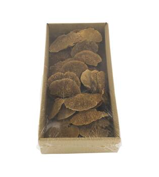 Mushroom sponge nature on wire 38x18x7.5cm 40pc
