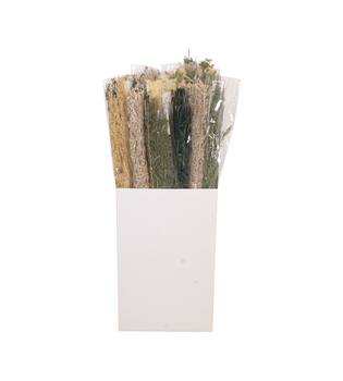 Alfonso grass nature 15x5x100cm 100gr